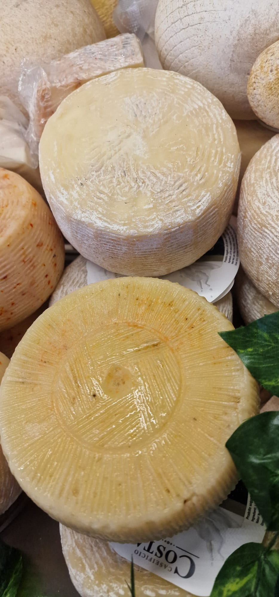 Pecorino calabrese